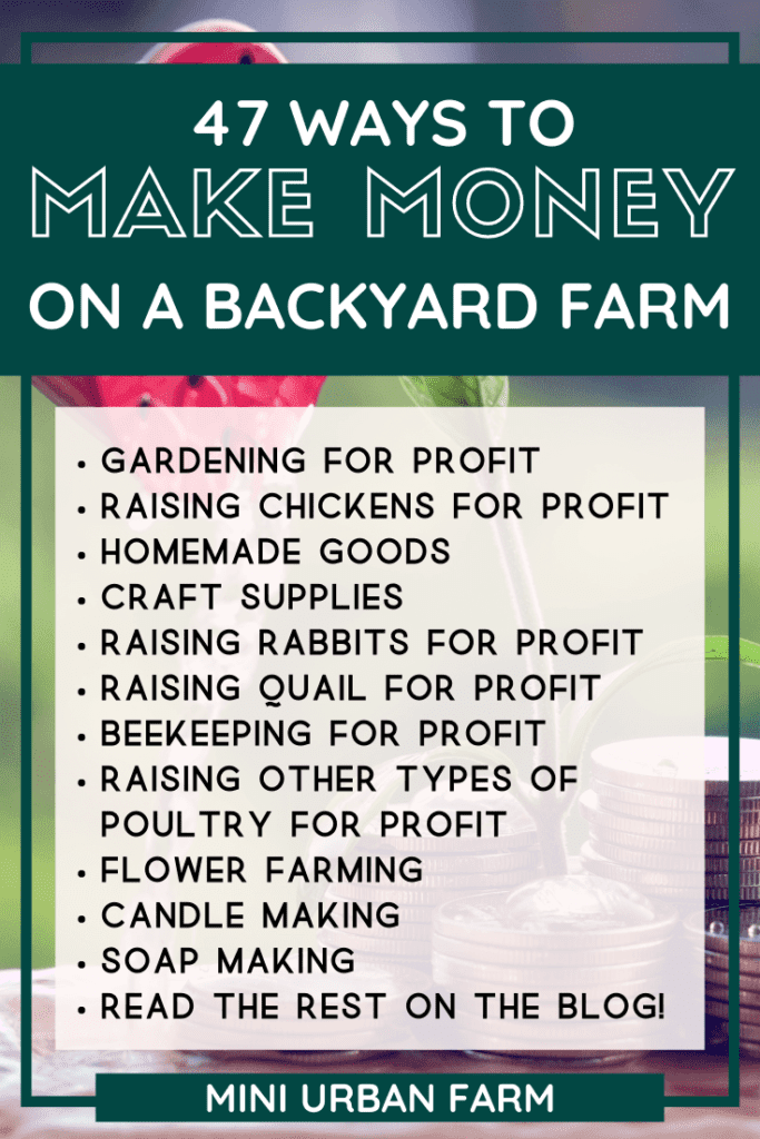 47 Ways to Make Money With A Backyard Farm - Urban Homesteading - Mini Urban Farm