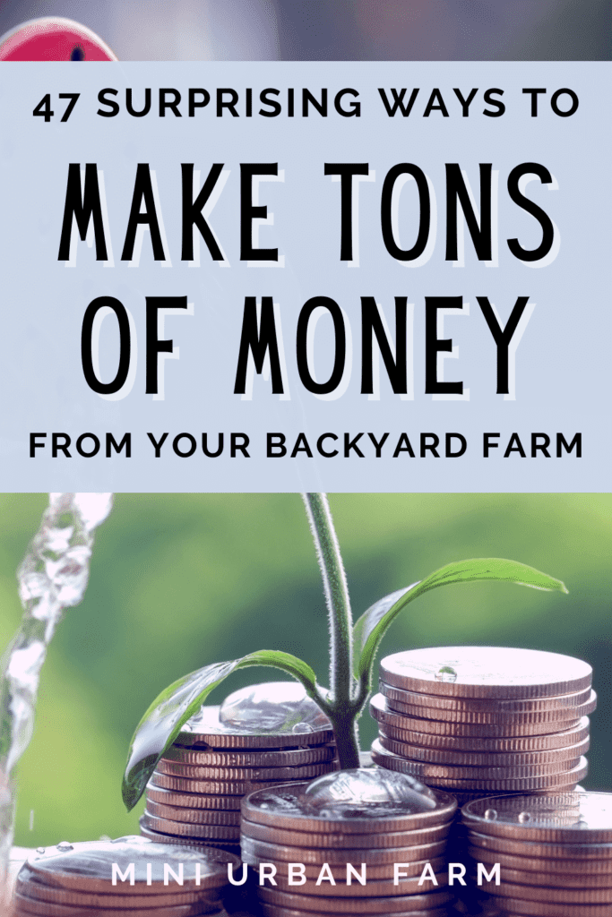47 Ways to Make Money With A Backyard Farm - Urban Homesteading - Mini Urban Farm