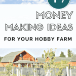 47 Ways to Make Money With A Backyard Farm - Urban Homesteading - Mini Urban Farm