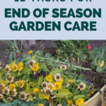 12 End of Season Gardening Tasks for a Successful Garden - Mini Urban Farm