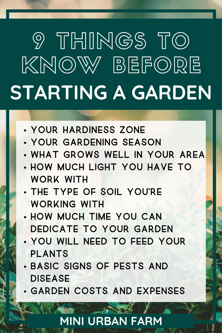 9 Important Things to Know Before Starting a Garden - Mini Urban Farm