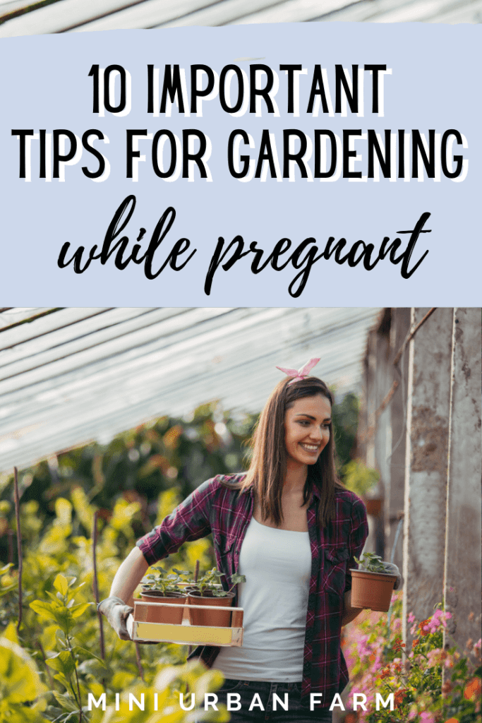 Pregnant Gardening Tips-to-Keep-Baby-Safe-Urban-Gardening-Mini-Urban-Farm-2