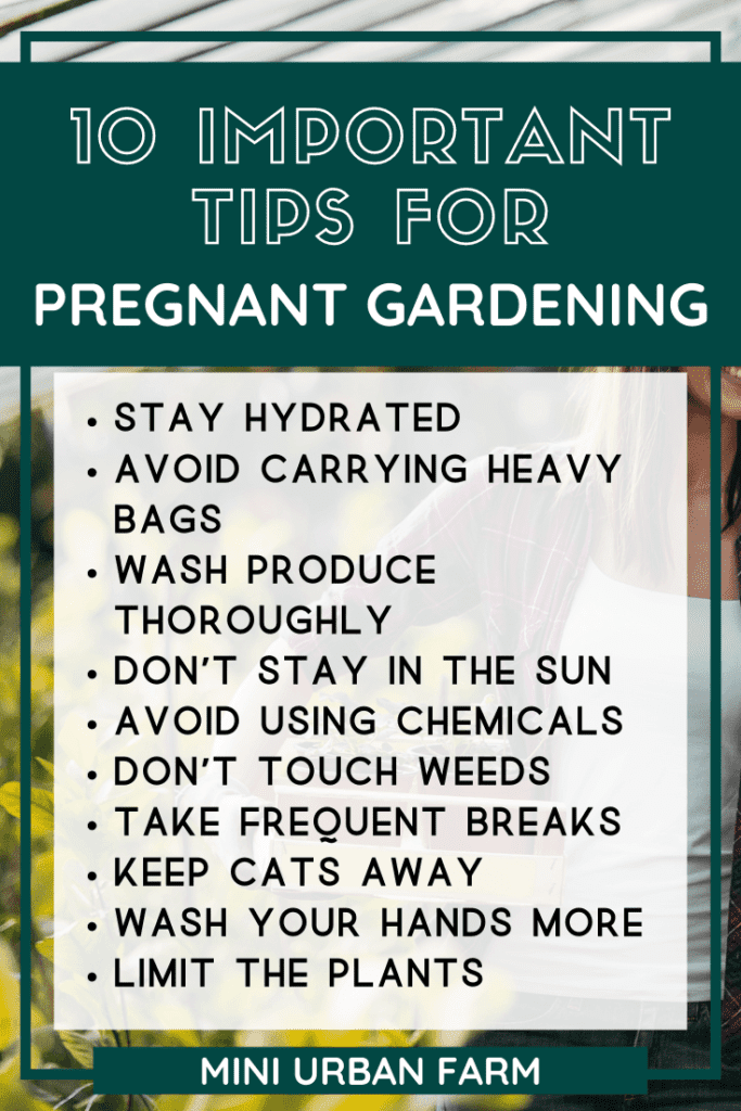 Pregnant Gardening Tips-to-Keep-Baby-Safe-Urban-Gardening-Mini-Urban-Farm-2