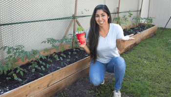 4 Things to do After Planting a Garden - What to do after planting seeds - Urban Gardening - Mini Urban Farm