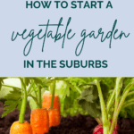 How to Start an Urban Vegetable Garden in 8 Simple Steps - Mini Urban Farm