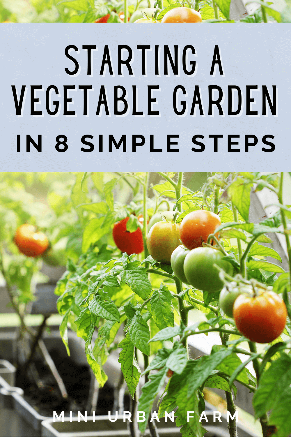 How to Start an Urban Vegetable Garden in 8 Simple Steps - Mini Urban Farm