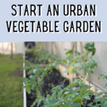 How to Start an Urban Vegetable Garden in 8 Simple Steps - Mini Urban Farm