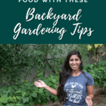 backyard gardening tips - suburban backyard garden - grow food in your backyard - mini urban farm (2)