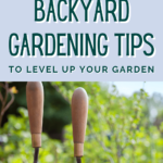 backyard gardening tips - suburban backyard garden - grow food in your backyard - mini urban farm (2)