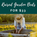 how to fill a raised bed for cheap - raised bed gardening - garden beds - mini urban farm