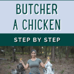 how to butcher a chicken for beginners - how to butcher a chicken step by step - how to butcher a chicken with a cone (1)