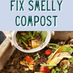 how to fix smelly compost - reasons why your compost smells - why does my compost smell (1)