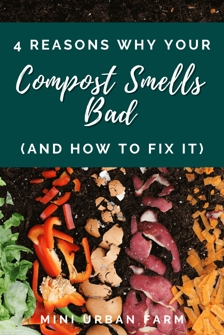 4 Ways to Fix Smelly Compost Mini Urban Farm