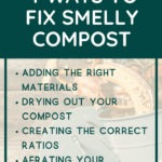 how to fix smelly compost - reasons why your compost smells - why does my compost smell (3)
