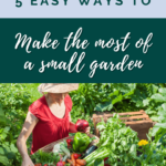 how to max out a small garden - small space gardening techniques - make the most of a small garden (1)