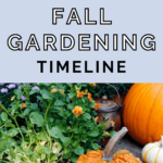 fall gardening timeline - when to start fall vegetables - fall gardening tips (1)