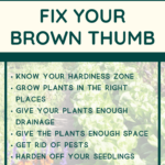 how to fix a brown thumb, green thumb, vegetable gardening, how to grow food, how to grow a garden, how to grow vegetables, mini urban farm