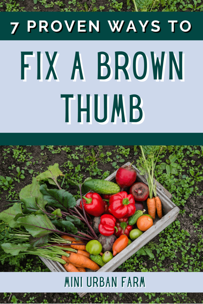 how to fix a brown thumb, green thumb, vegetable gardening, how to grow food, how to grow a garden, how to grow vegetables, mini urban farm